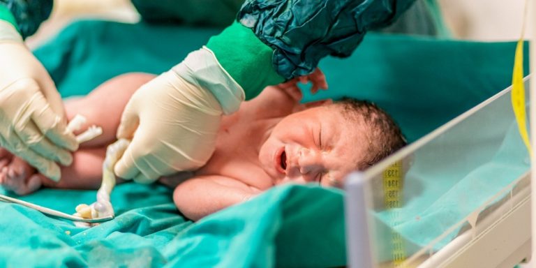 Bancos de sangue de cordão umbilical e placentário: divulgado relatório