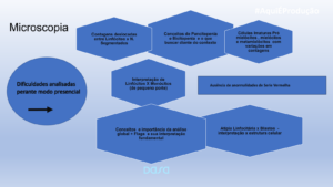 Como os programas de treinamento atraem a eficácia da rotina inteligente dos laboratórios de análises clínicas?