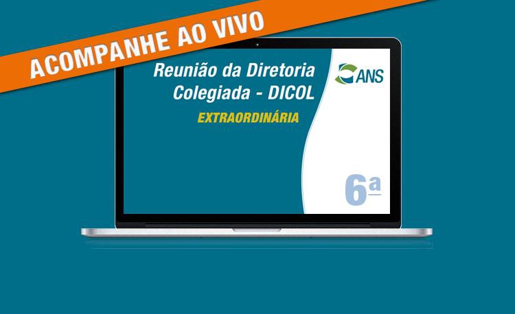 6ª Reunião Extraordinária da Diretoria Colegiada de 2026